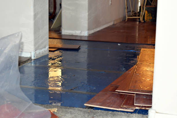 Professional Water Damage technician working in Cortland, IL